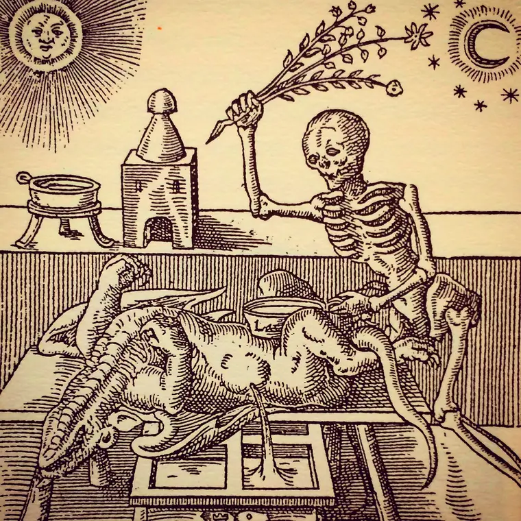 A Alquimia Vegetal de Nicolas Flamel: A Busca pela Pedra Filosofal