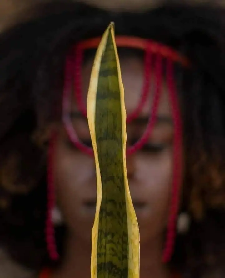A Magia Afro-Cubana: O Que os Orixás Significam