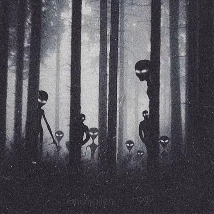 A Raça Alienígena: A Teoria da Origem Extraterrestre da Humanidade