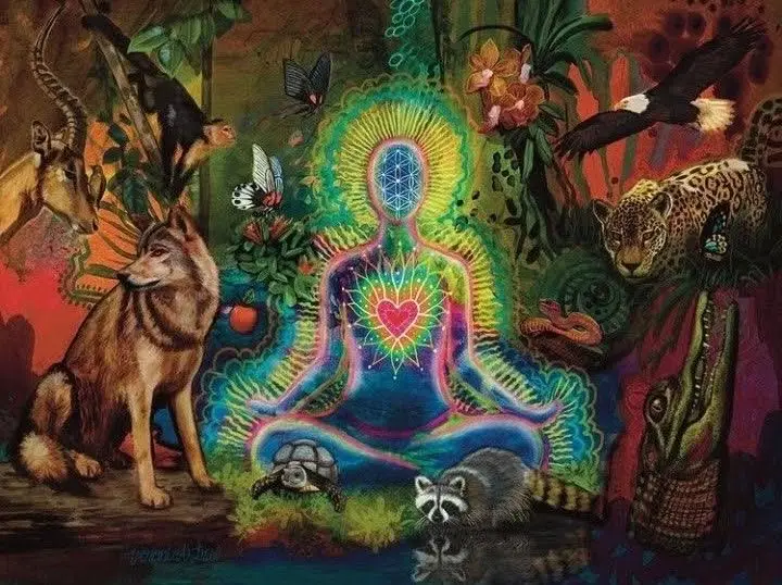 Ayahuasca: O Chá de DMT e a Tradição Xamânica
