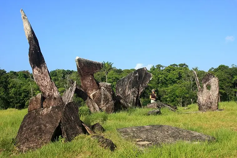 O Rio Amazonas: A Geografia Sagrada da Floresta Tropical