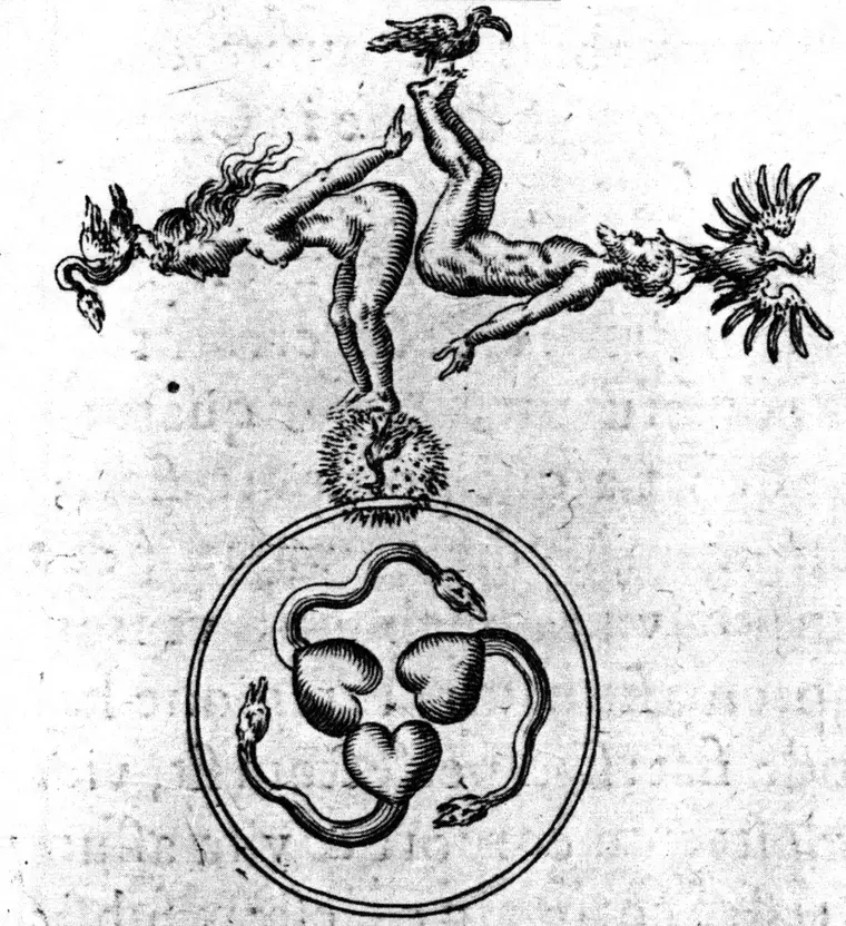 Os Manuscritos Alquímicos de Sir Isaac Newton