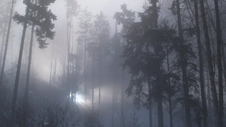 Rendlesham Forest: O Incidente de 1980 e as Implicações para a Ufologia