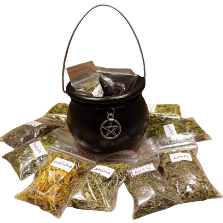 Pack de Ervas Naturais Herbário de Reposição